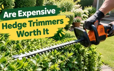 Are Expensive Hedge Trimmers Worth It? Know When to Upgrade