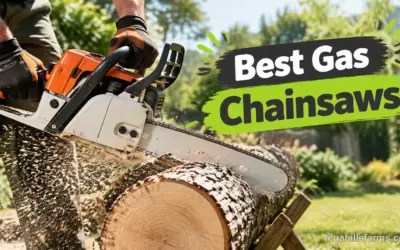 7 Best Gas Chainsaws: 2026 Top Picks