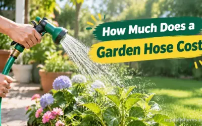 How Much Does a Garden Hose Cost? Budget to Premium Value
