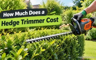 Hedge Trimmer Cost: What to Budget Beyond the Price Tag