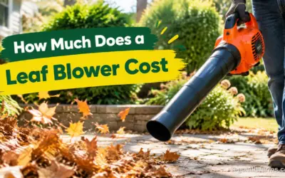 How Much Does a Leaf Blower Cost? Budget by Yard Size