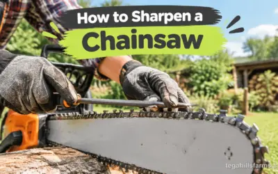 How to Sharpen a Chainsaw Correctly: Tools & Angles Guide