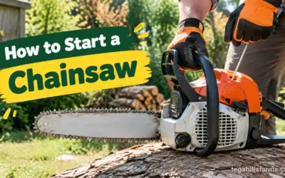 How to Start a Chainsaw: Cold vs Warm Start & Choke Tips