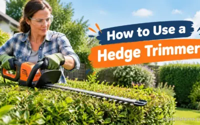How to Use a Hedge Trimmer: Sides First, Then a Level Top