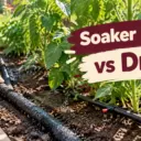 Soaker Hose vs Drip: Durability, Clogging, and Even Watering